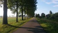 0031-bike_path-wapenveld-netherlands