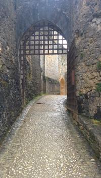 0111-gate-château-de-beynac-france