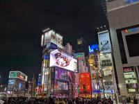 0403-cat-billboard-shinjuku-tokyo-japan